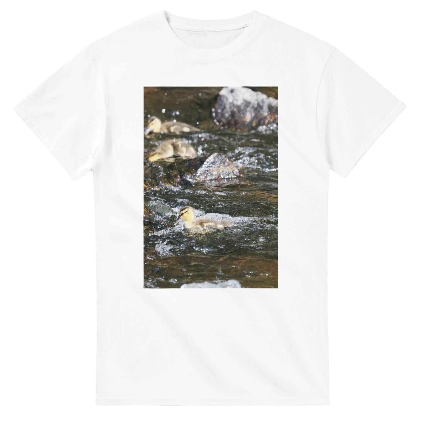 9665dd8d-0c03-4b04-8971-394cc6f82595