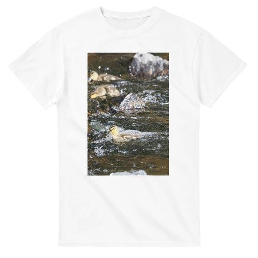 9665dd8d-0c03-4b04-8971-394cc6f82595