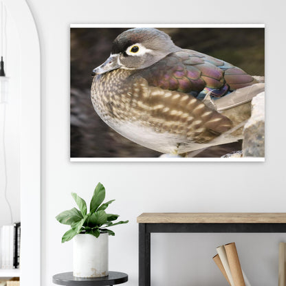 96a2230d-944a-4b19-92b3-131ce63c9899