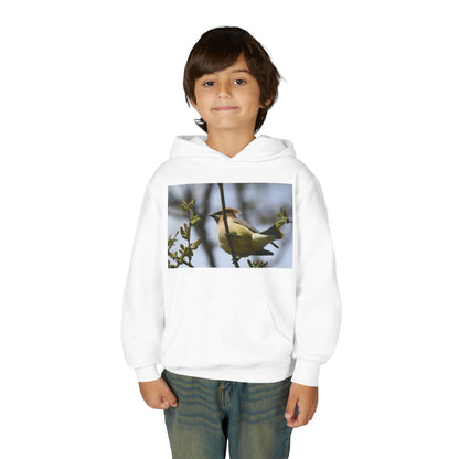 Cedar Waxwing Bird Hoodie | Youth Hooded Sweatshirt