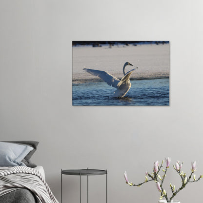 97325fee-bd16-4fd2-9f8b-c09a07ea1a80