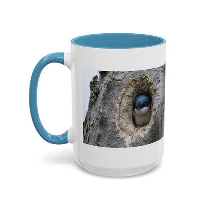Bluebird in Tree Cavity Accent Coffee Mug — Nature Wildlife Ceramic Mug (11/15oz)