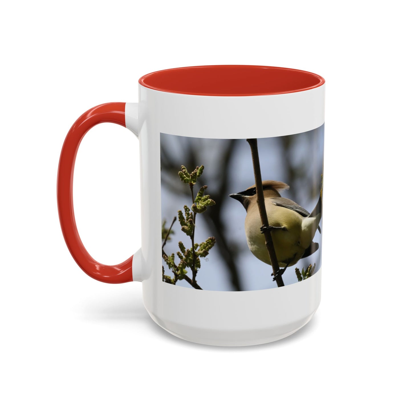 Cedar Waxwing Bird Photo Accent Coffee Mug