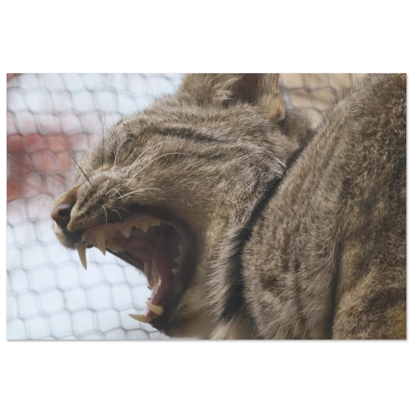 974dd3a9-8616-4a08-a4a8-28f2c5086739