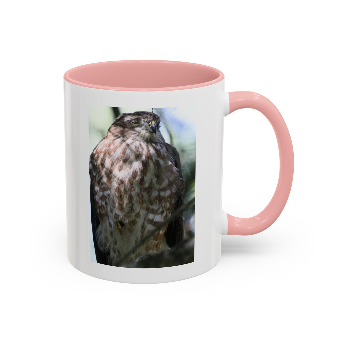 Hawk Photo Accent Coffee Mug — Birdwatcher Gift, 11/15oz