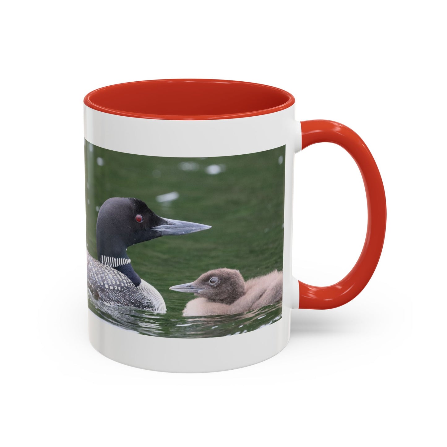 Loon Family Accent Coffee Mug – Wildlife Photo Tea Mug (11/15 oz)
