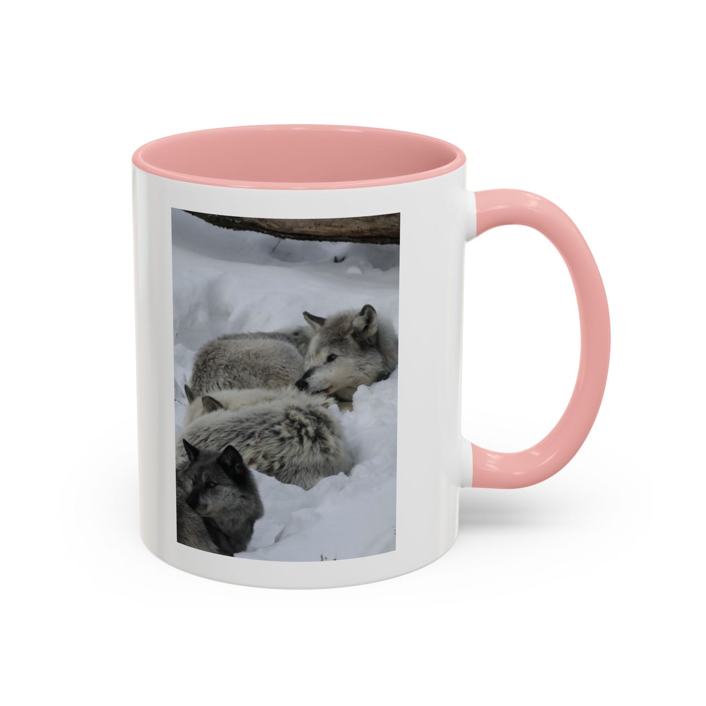 Wolf Pack Coffee Mug – Accent Black Handle 11/15oz, Winter Wildlife Photo