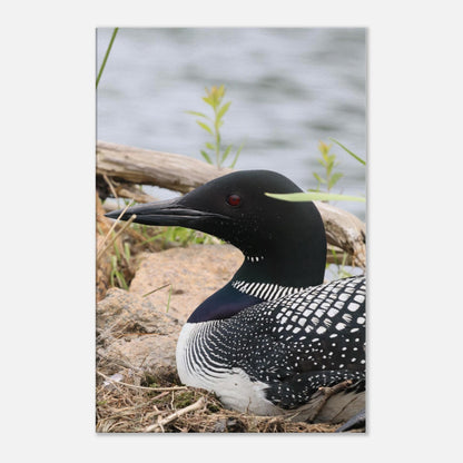 9767e4da-daee-457b-a2d8-2088995e2cc4