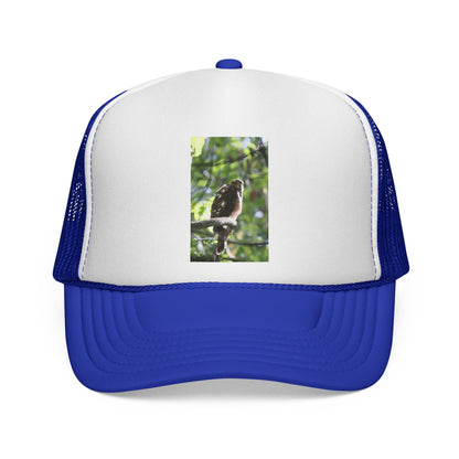 Bird Photography Trucker Cap – Perched Owl Nature Hat