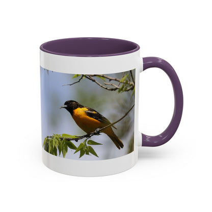 Baltimore Oriole Coffee Mug — Birdwatching Accent Mug (11/15oz)