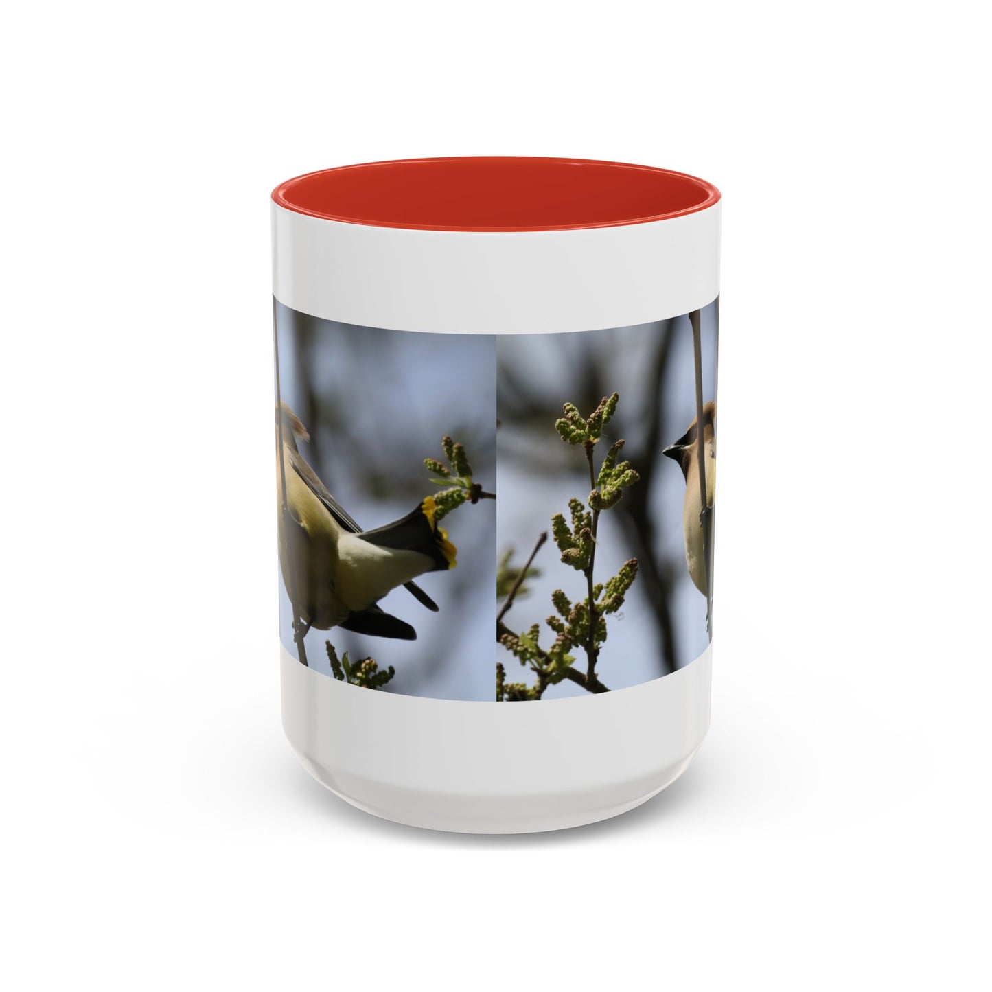 Cedar Waxwing Bird Photo Accent Coffee Mug