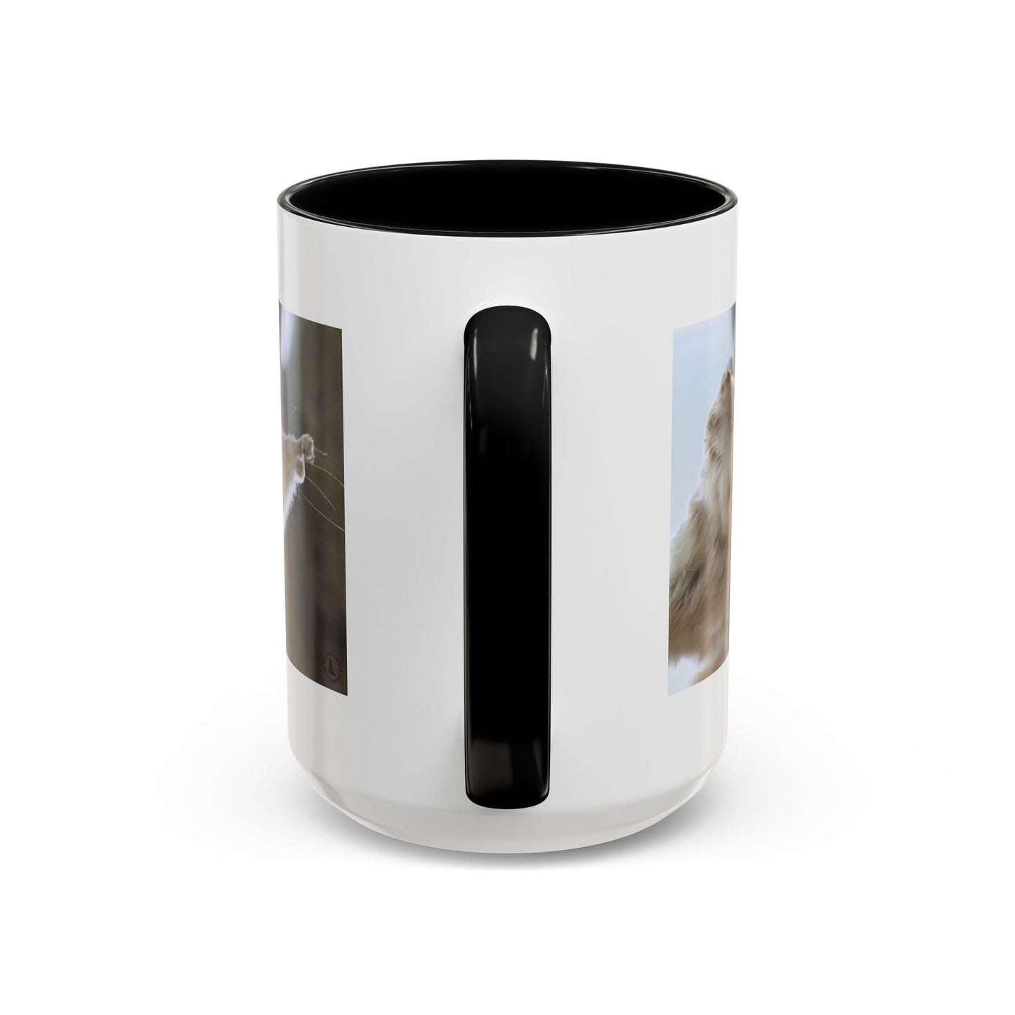Flying Squirrel Accent Coffee Mug — Cute Wildlife Photo Mug (11/15oz)