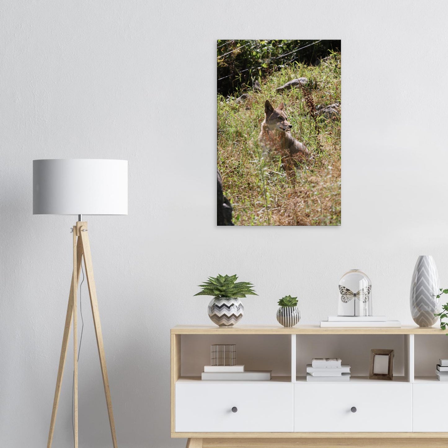 97cb1000-89cc-438f-a77d-ff33b86151f0