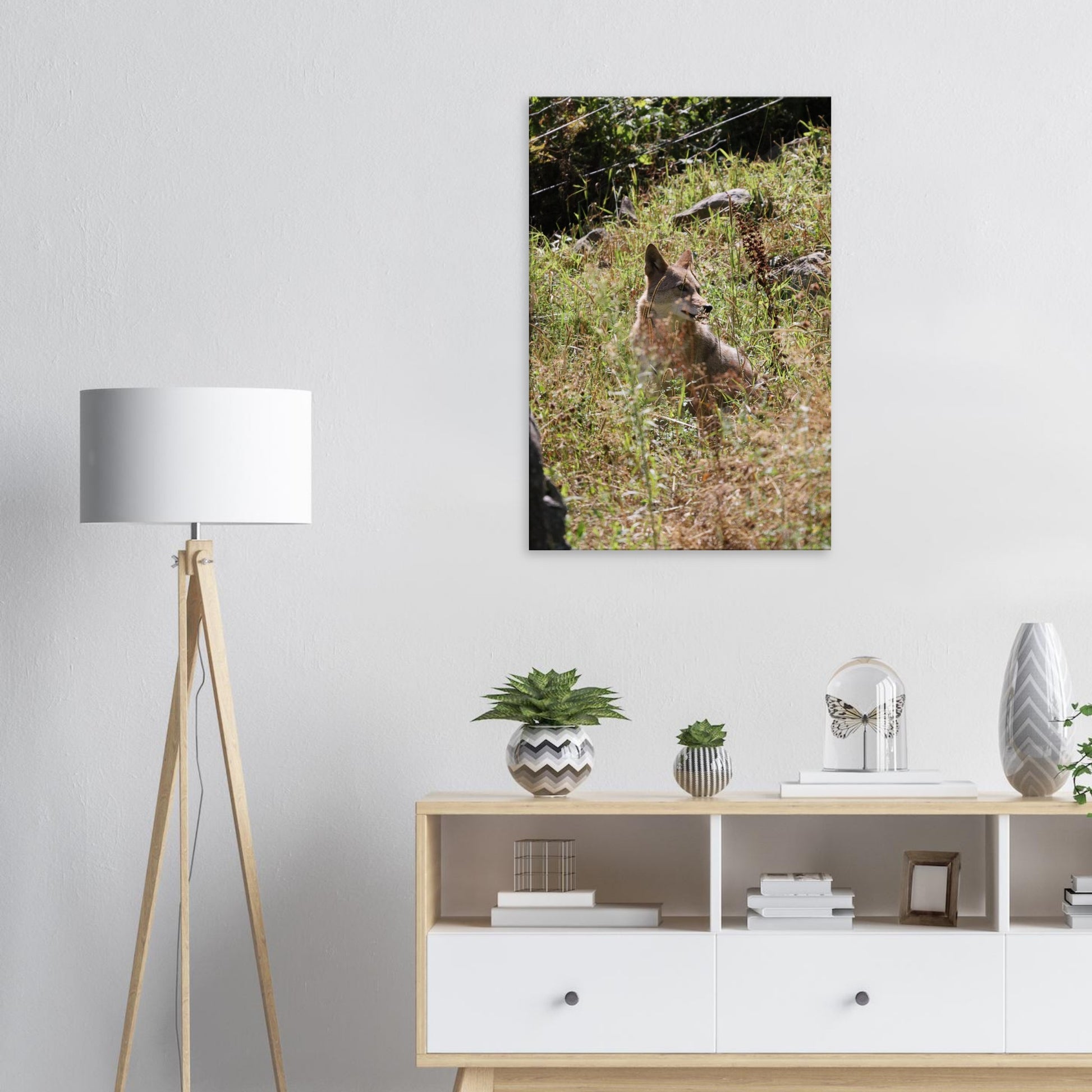 97cb1000-89cc-438f-a77d-ff33b86151f0