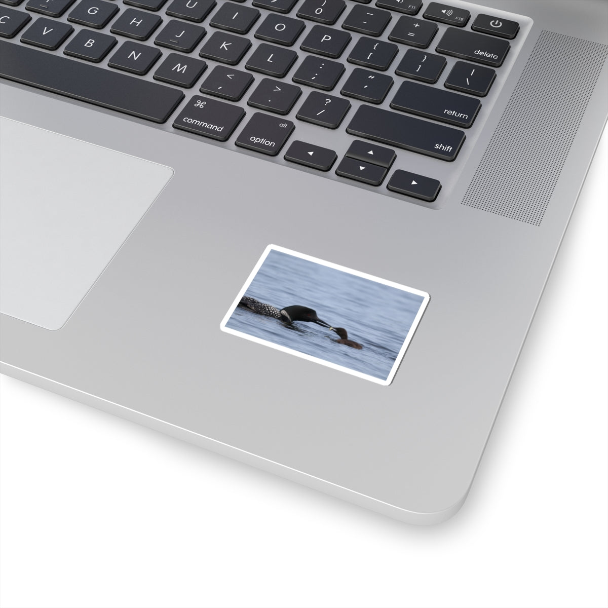 Common Loon & Chick Kiss-Cut Sticker — Wildlife Photo Waterproof Decal