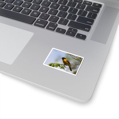 Oriole Bird Sticker — Vibrant Yellow Songbird Laptop Decal