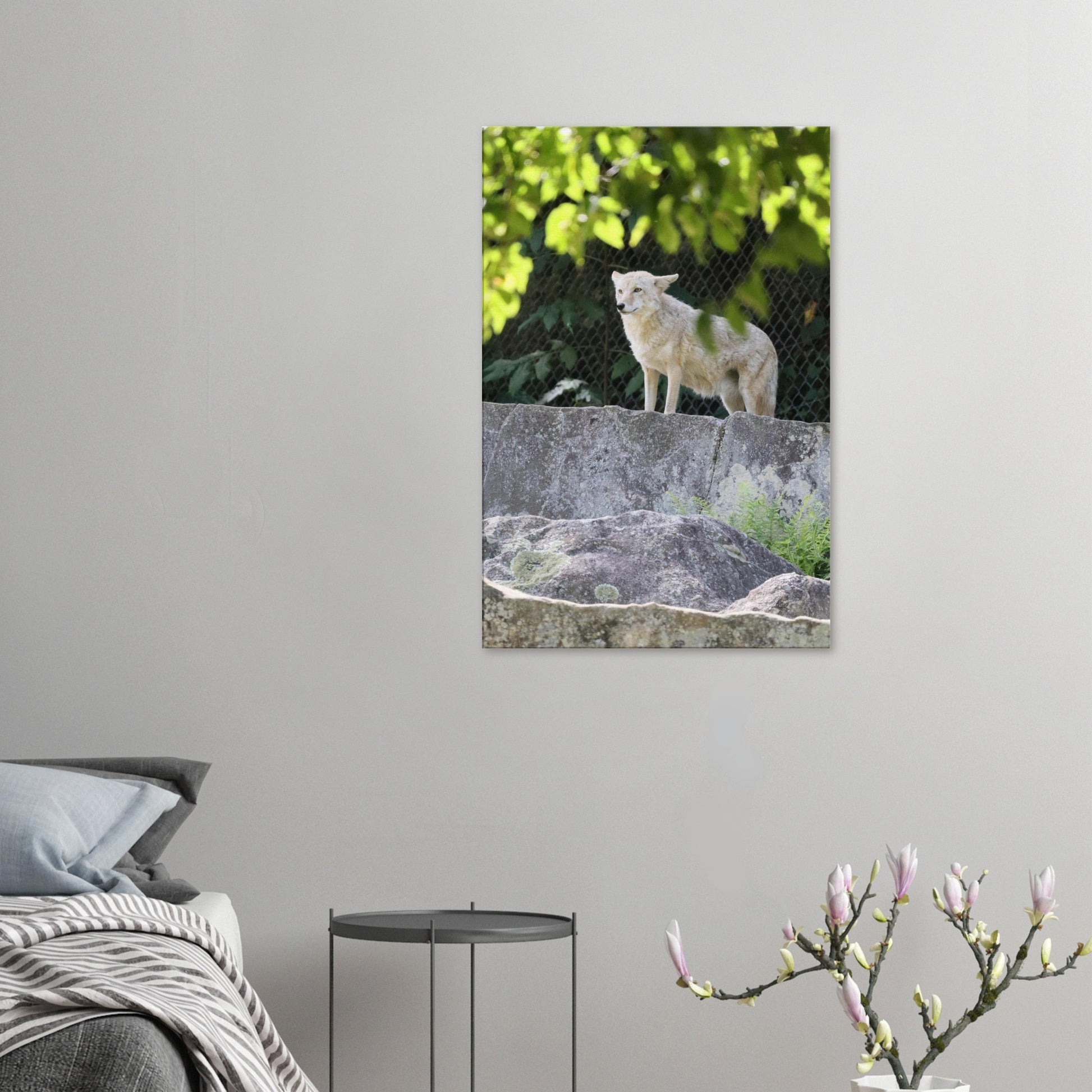 98971af9-e574-4e53-9b08-e240f815f65b