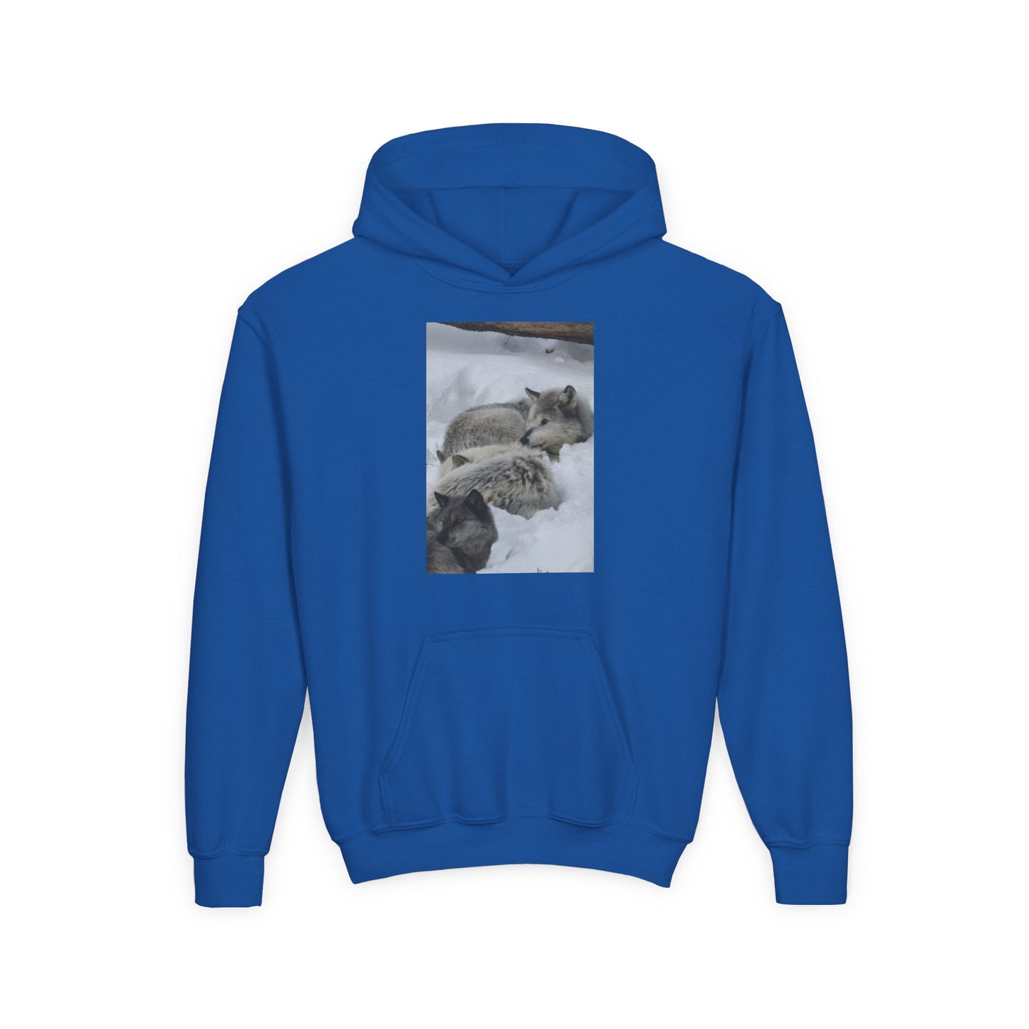 Sleeping Foxes Youth Hoodie | Wildlife Photography, Snow Scene