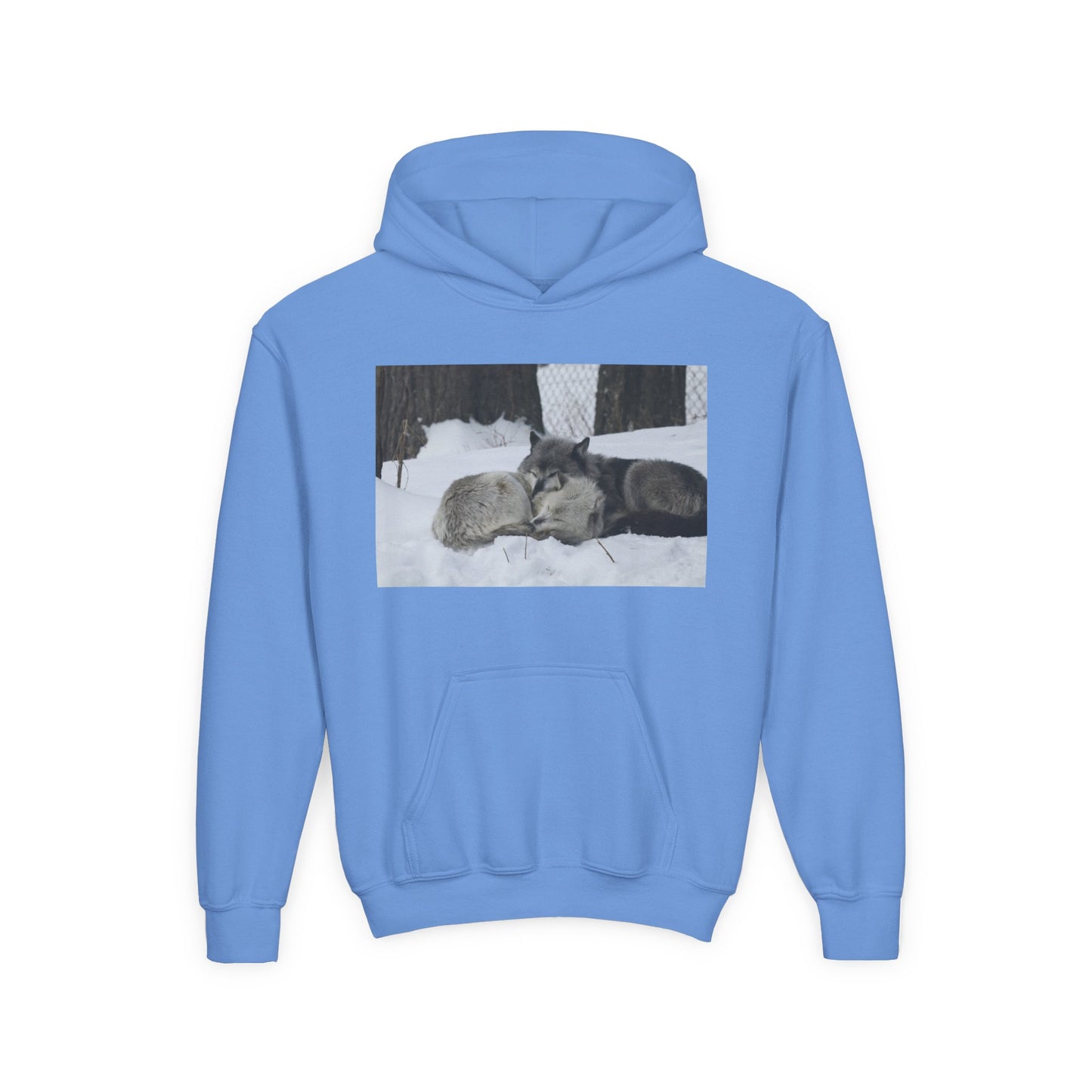 Youth Heavy Blend Hooded Sweatshirt