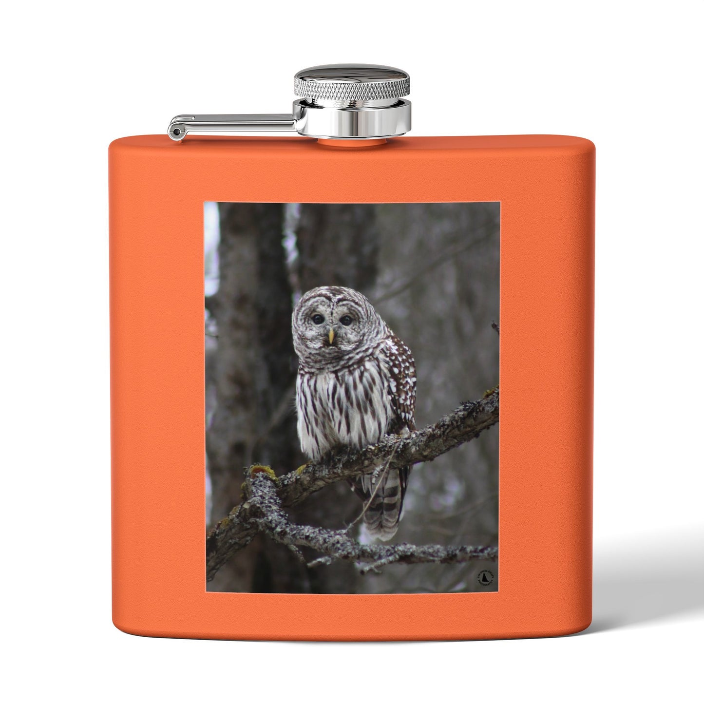 6oz Stainless Flask with Barred Owl Photo – Wildlife Nature Gift