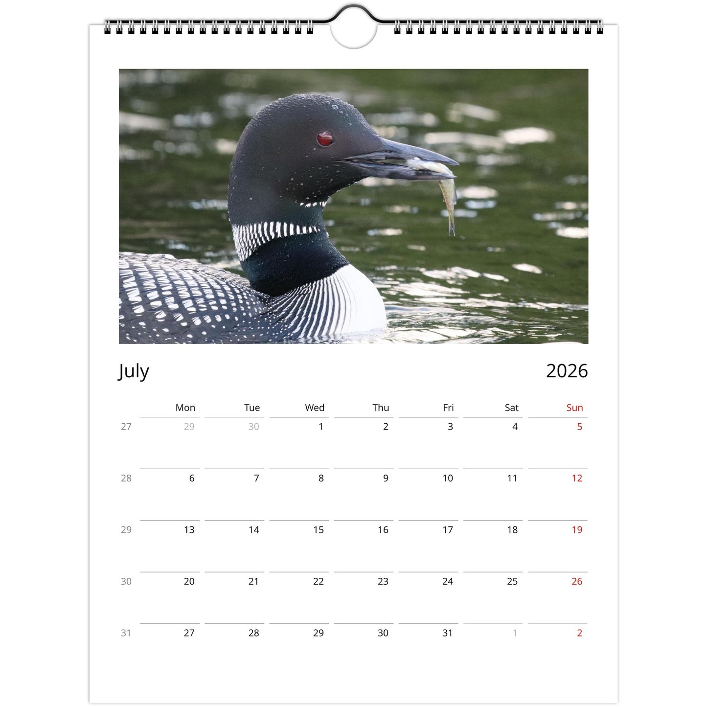 991218d7-1b24-4965-b290-fcc4d9dfe491