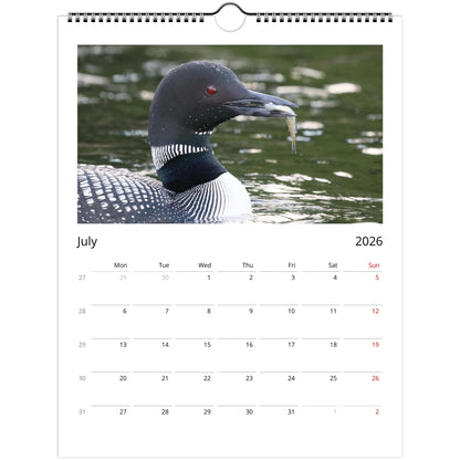 991218d7-1b24-4965-b290-fcc4d9dfe491