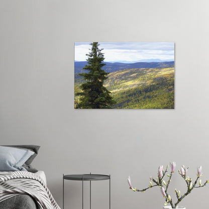 991e4830-bc91-4dbf-a863-1a93eece7e6e