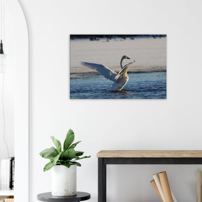 992044a9-9a01-4371-94b0-af4414950563