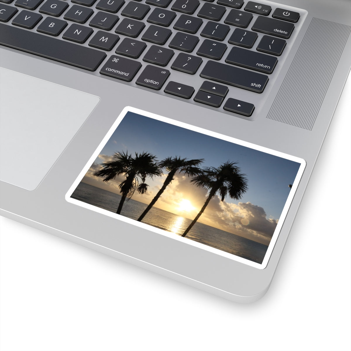 Palm Tree Sunset Sticker — Tropical Beach Kiss-Cut Decal