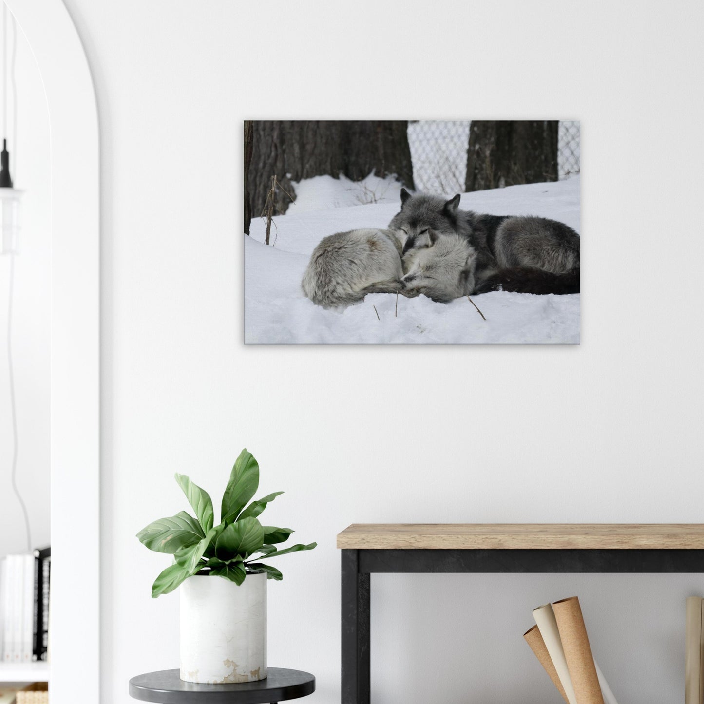 99ba5561-a6b6-4059-885d-1b9155a1b6f2