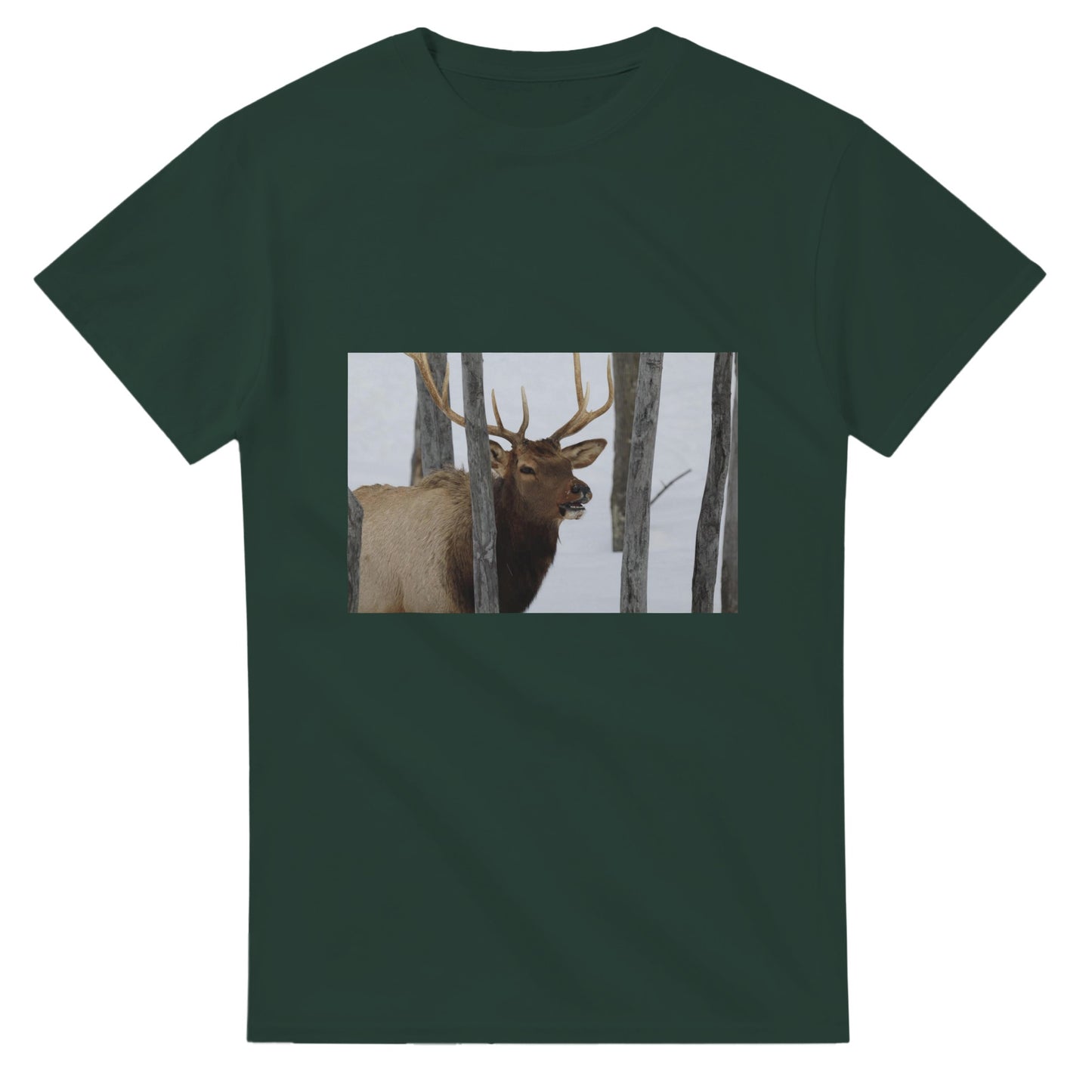 9a06dbf5-ff13-467c-923c-fb32e59098d3