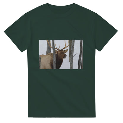 9a06dbf5-ff13-467c-923c-fb32e59098d3