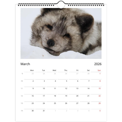 9a19408e-0fca-4589-b4d3-b0a6ca4ae4de