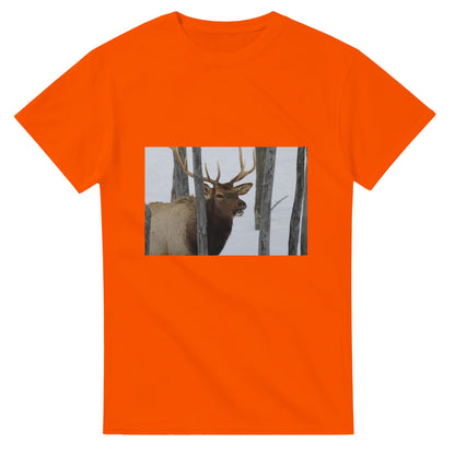 9b66f457-64dd-4b66-ab20-d5f30d1921c4