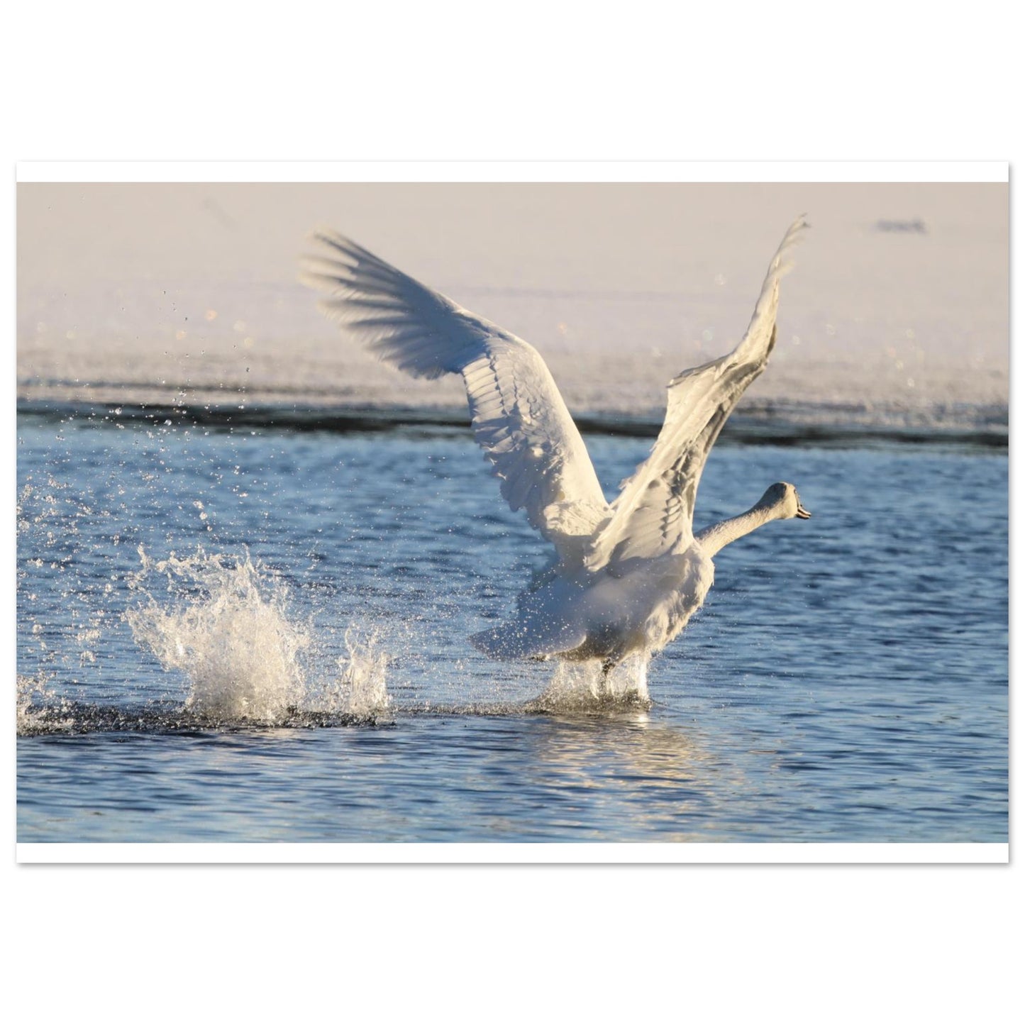 9bcc81fb-6a07-4b68-b628-5b9755107592