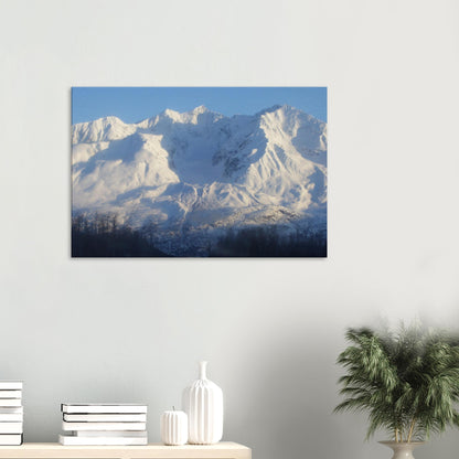 9bd335b0-583d-4ca0-b92d-12bdc9db43ec