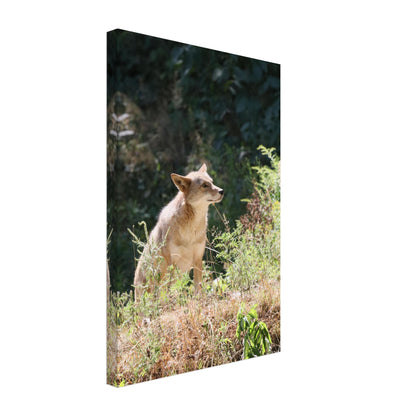 9c01374f-53dc-4953-97ef-3a008cc2a8f6