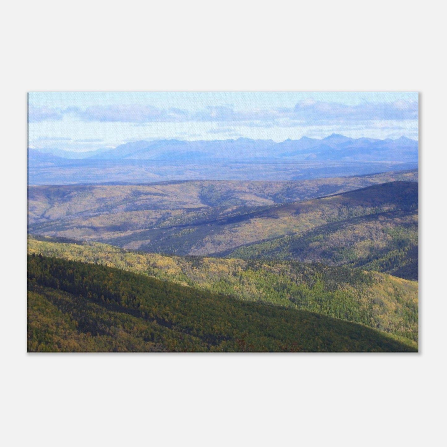 9c5e9c33-5381-48de-bdea-88ae91abbe27