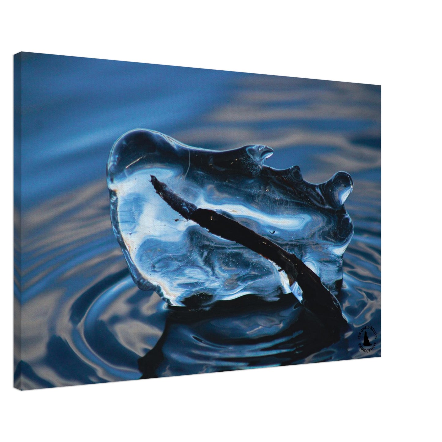 9c5f8780-3fe8-466c-98d1-c1a9a0f85b40