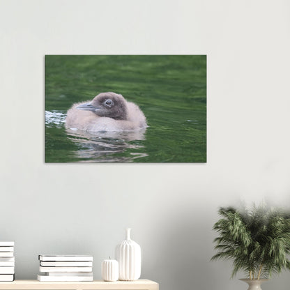 9caef068-be60-484f-8772-fc8ea6f83471