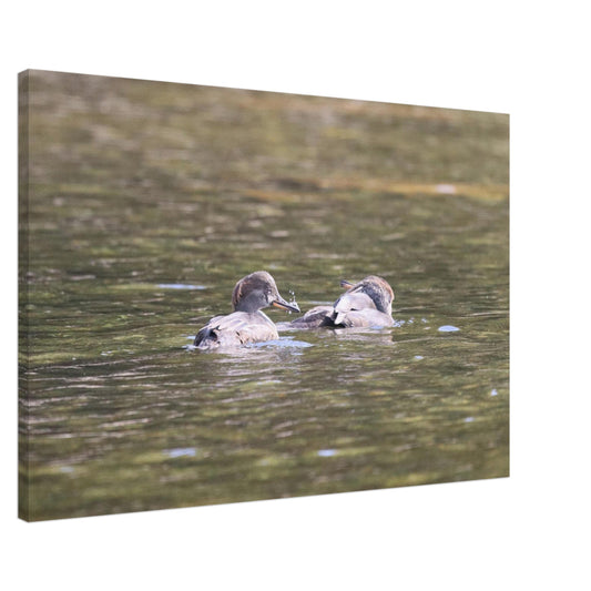 9d3ff42d-5c62-4462-b580-73f2df5e5536