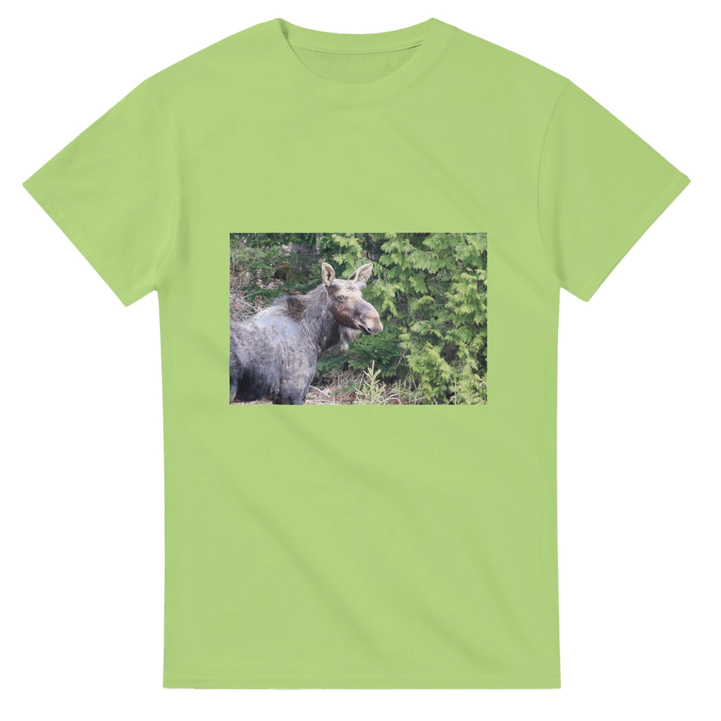 9d93b479-ccea-41a5-97a6-61fffbab326b