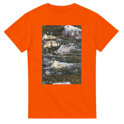 9db58f8f-a7e4-404b-a555-c0685f438394