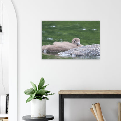 9ff8de64-163f-499f-8831-6a3f67b6ca10