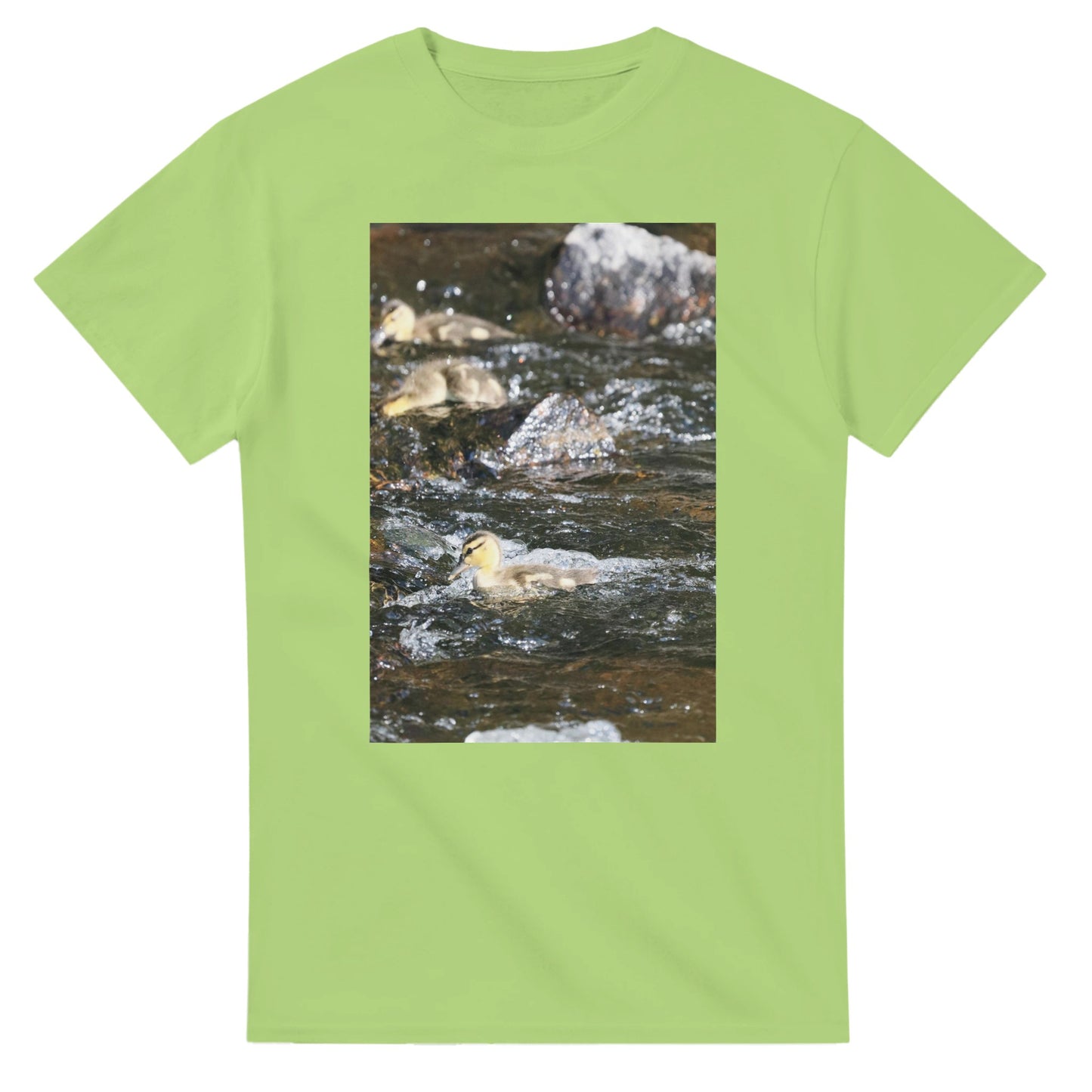 a0200d2c-d803-460e-9bd9-36a1bac34117