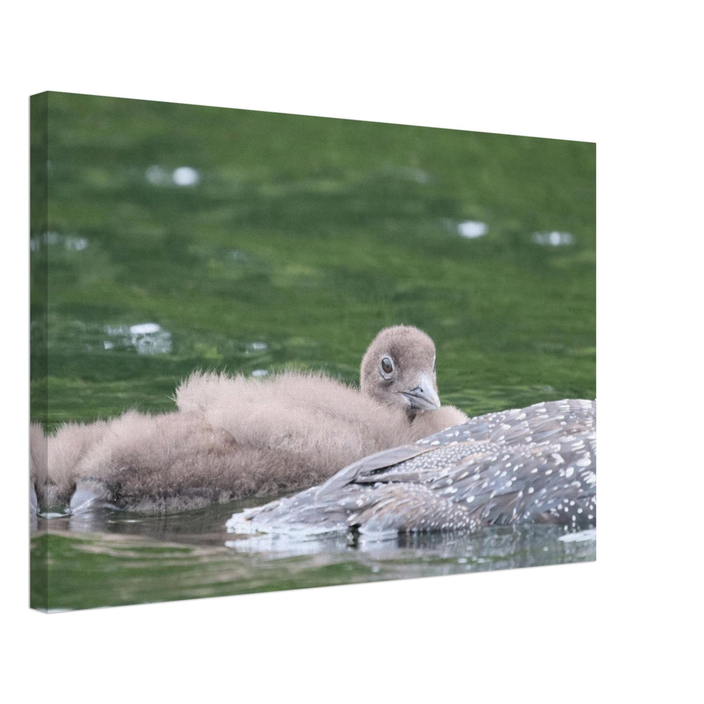 a05a65c3-a5cf-4d27-8d60-684630db2cdc