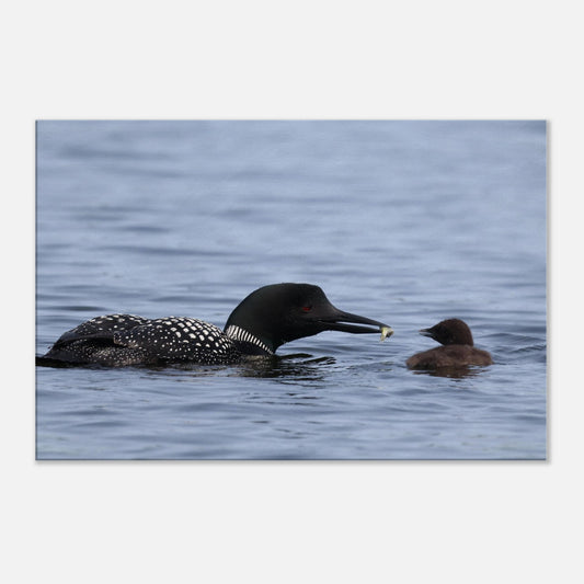 a0894af4-05df-48c2-be65-9e6cd5114602