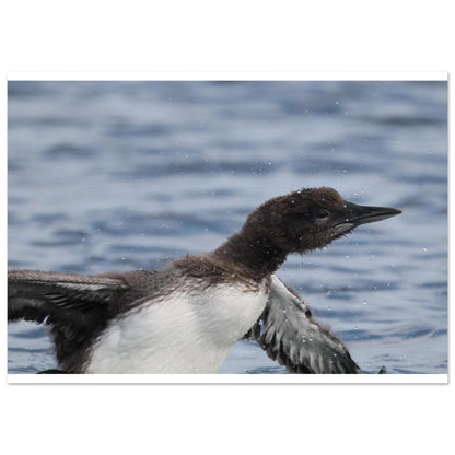 a09d7b40-0543-4774-a42c-3b839d33955b