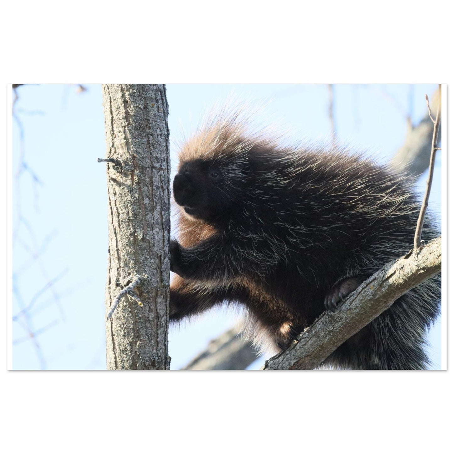 a09ee8f5-c9e1-4793-a308-63f27307e90b