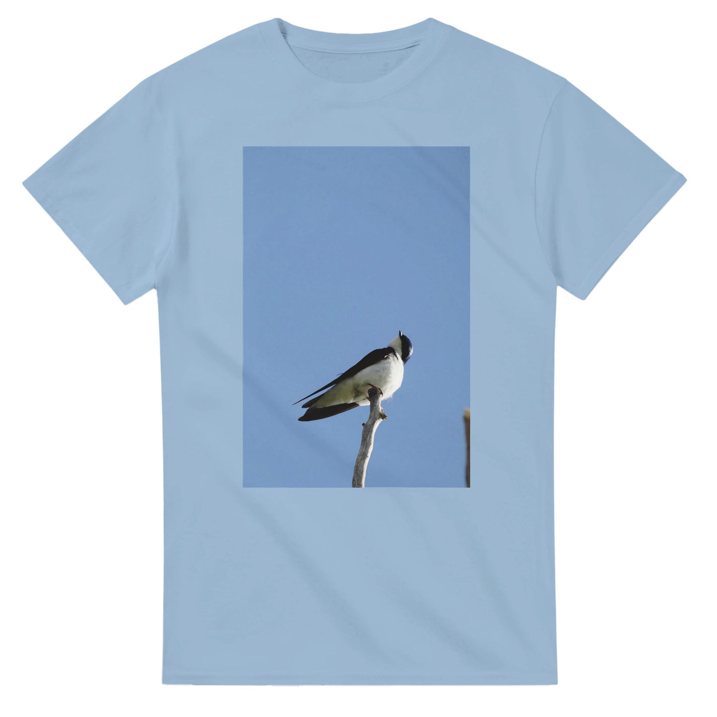 a0f6c1c4-a71e-43cd-9d59-f7b219716570